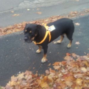 Meet your Posher, Michelle